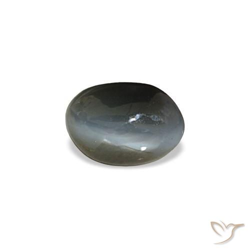 Cat's eye alexandrite gris naturelle coupe ovale, 0,45 ct, opaque