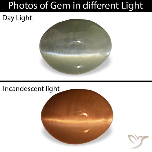 Cat's eye alexandrite gris de 0,44 ct, ovale, opaque