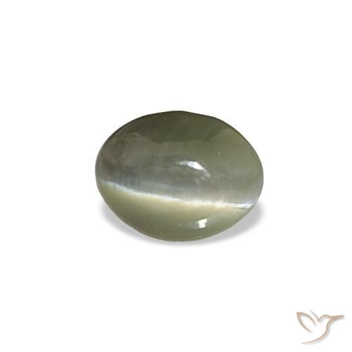Cat's eye alexandrite gris naturelle coupe ovale, 0,44 ct, opaque