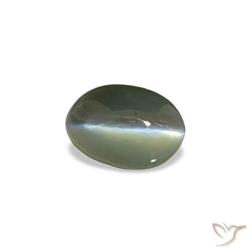 Cat's eye alexandrite gris naturelle coupe ovale, 0,50 ct, opaque
