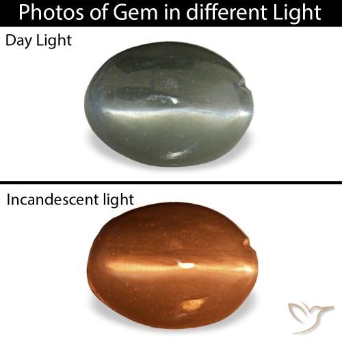 Cat's eye alexandrite gris naturelle coupe ovale, 0,39 ct, opaque