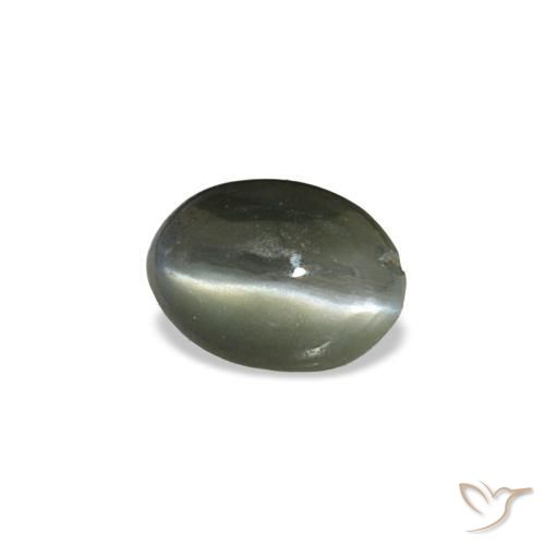 Cat's eye alexandrite gris naturelle coupe ovale, 0,39 ct, opaque
