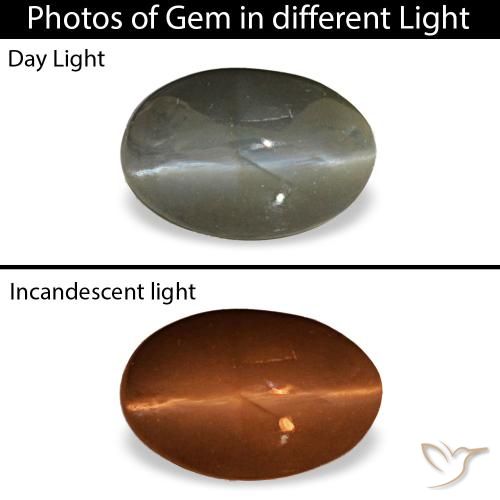 Cat's eye alexandrite gris de 0,47 ct, ovale, opaque