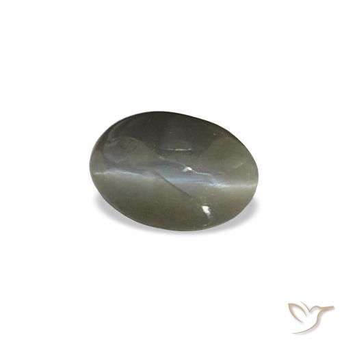 Cat's eye alexandrite gris naturelle coupe ovale, 0,47 ct, opaque