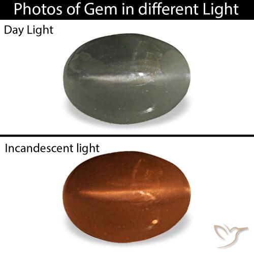Cat's eye alexandrite gris de 0,47 ct, ovale, opaque