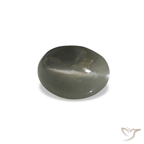Cat's eye alexandrite gris naturelle coupe ovale, 0,47 ct, opaque