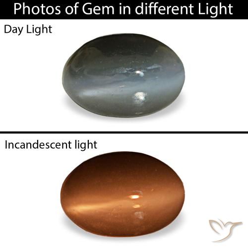 Cat's eye alexandrite gris de 0,50 ct, ovale, opaque