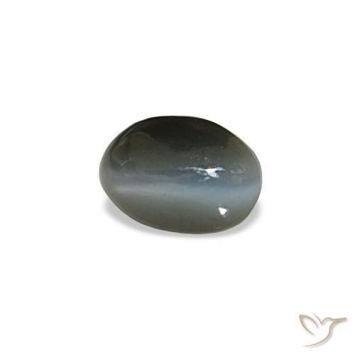 Cat's eye alexandrite gris naturelle coupe ovale, 0,50 ct, opaque