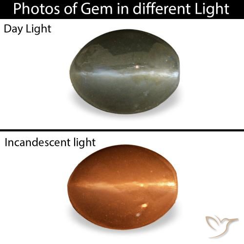 Cat's eye alexandrite gris de 0,45 ct, ovale, opaque