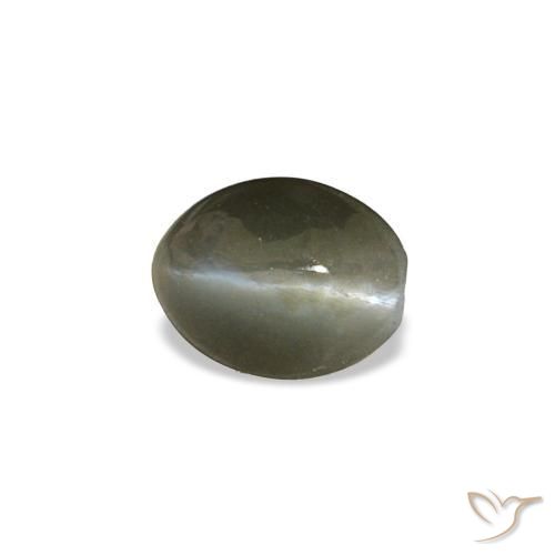 Cat's eye alexandrite gris naturelle coupe ovale, 0,45 ct, opaque