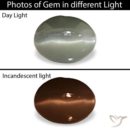 Cat's eye alexandrite gris naturelle coupe ovale, 1,03 ct, opaque