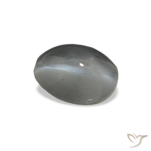 Cat's eye alexandrite gris naturelle coupe ovale, 1,03 ct, opaque