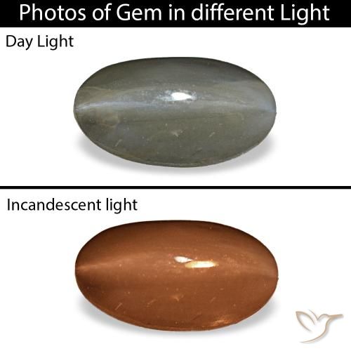 Cat's eye alexandrite gris de 1,01 ct, ovale, opaque