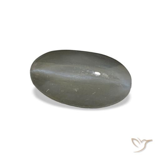 Cat's eye alexandrite gris naturelle coupe ovale, 1,01 ct, opaque
