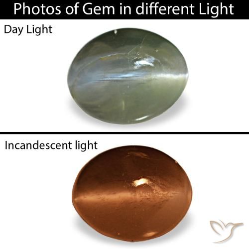 Cat's eye alexandrite gris de 0,64 ct, ovale, opaque