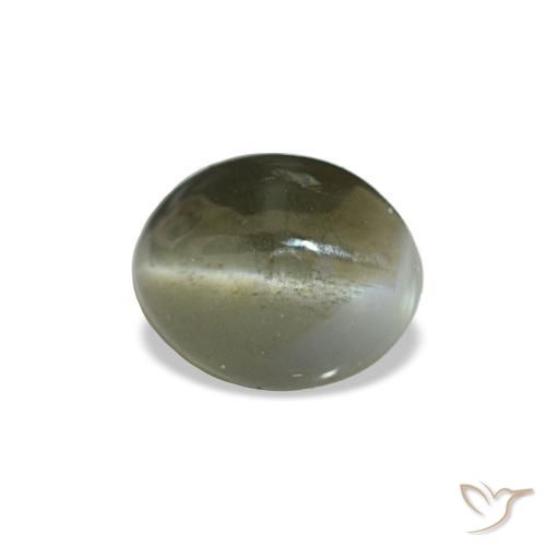 Cat's eye alexandrite gris naturelle coupe ovale, 0,64 ct, opaque