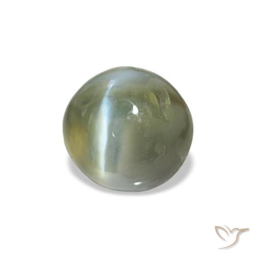Cat's eye alexandrite vert naturelle coupe ovale, 0,60 ct, opaque