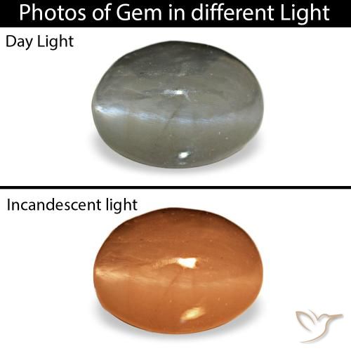 Cat's eye alexandrite gris naturelle coupe ovale, 0,72 ct, opaque