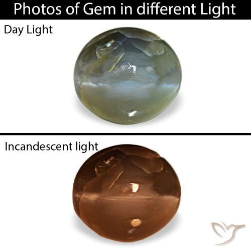 Cat's eye alexandrite gris de 0,79 ct, ovale, opaque