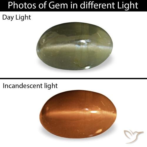 Cat's eye alexandrite vert de 0,34 ct, ovale, opaque