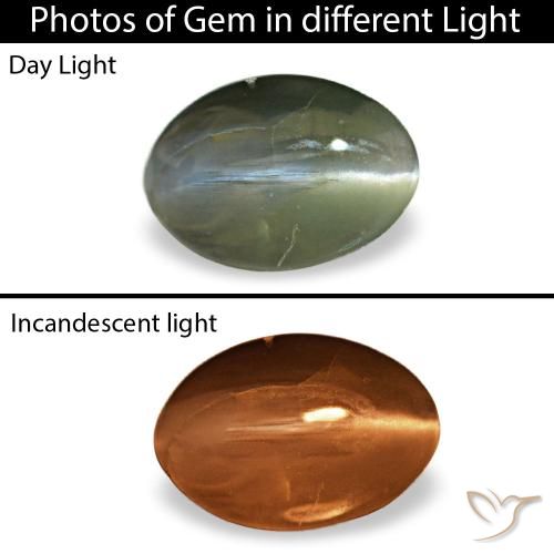 Cat's eye alexandrite vert de 0,38 ct, ovale, opaque