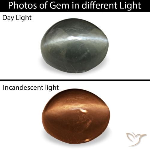 Cat's eye alexandrite gris de 0,34 ct, ovale, opaque