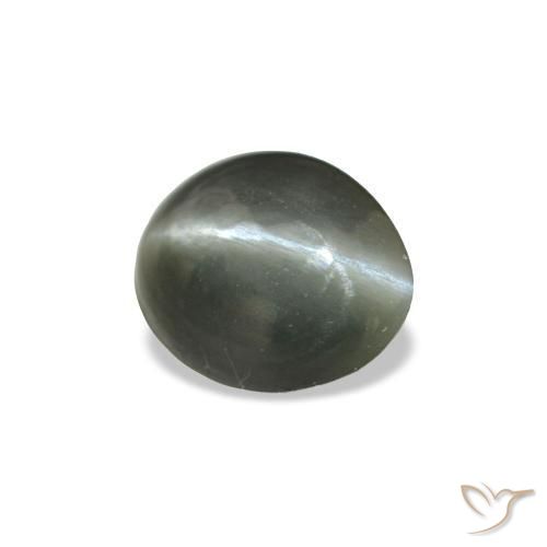 Cat's eye alexandrite gris naturelle coupe ovale, 0,34 ct, opaque