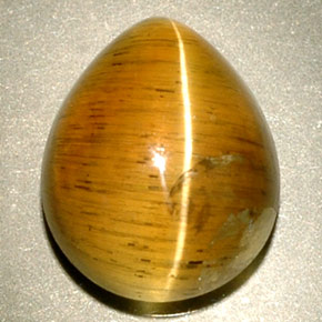 Cat's eye apatite jaune naturelle transparent, 4,94 ct, transparent / translucide