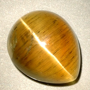 Cat's eye apatite jaune naturelle transparent, 4,94 ct, transparent / translucide