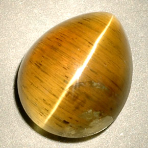 Cat's eye apatite jaune naturelle transparent, 4,94 ct, transparent / translucide