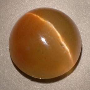 Cat's eye apatite jaune naturelle transparent, 3,62 ct, transparent / translucide