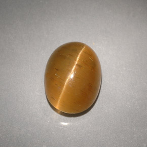 Cat's eye apatite jaune naturelle transparent, 3,94 ct, transparent / translucide
