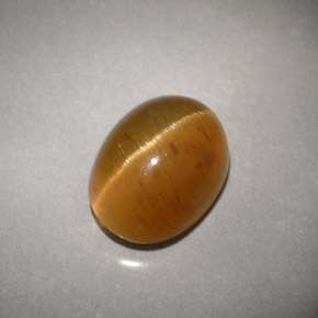 Cat's eye apatite jaune naturelle transparent, 3,94 ct, transparent / translucide
