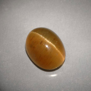 Cat's eye apatite jaune naturelle transparent, 3,94 ct, transparent / translucide