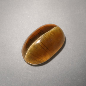 Cat's eye apatite jaune naturelle transparent, 4,93 ct, transparent / translucide