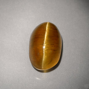 Cat's eye apatite jaune naturelle transparent, 4,93 ct, transparent / translucide