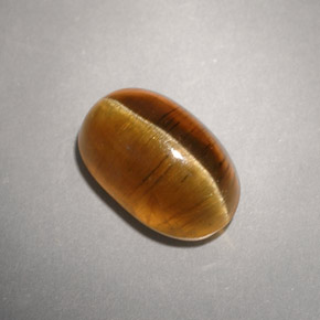 Cat's eye apatite jaune naturelle transparent, 4,93 ct, transparent / translucide
