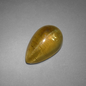 Cat's eye apatite jaune naturelle transparent, 4,09 ct, transparent / translucide