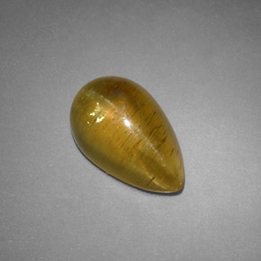 Cat's eye apatite jaune naturelle transparent, 4,09 ct, transparent / translucide