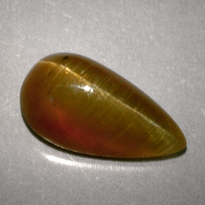 Oeil de chat Apatite Miel naturelle En forme de poire, 2.89 ct, Translucide