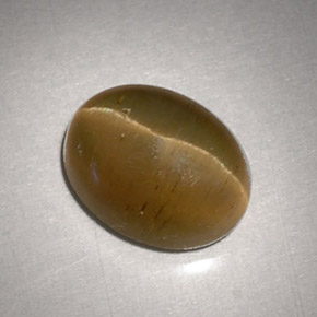 Cat's eye apatite jaune naturelle coupe ovale, 3,11 ct, translucide