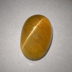 Cat's eye apatite jaune naturelle coupe ovale, 2,48 ct, translucide