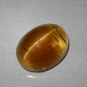 Cat's eye apatite jaune naturelle coupe ovale, 3,32 ct, translucide