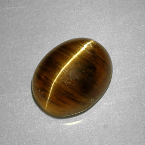 Cat's eye apatite jaune naturelle coupe ovale, 2,64 ct, translucide