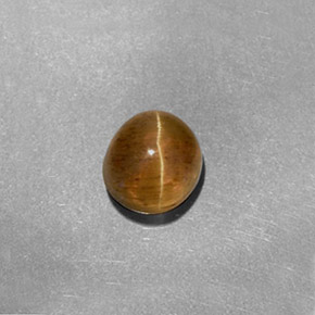 Cat's eye apatite jaune naturelle coupe ovale, 1,61 ct, translucide