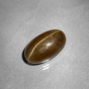 Cat's eye apatite jaune naturelle coupe ovale, 3,58 ct, translucide