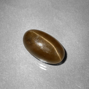 Cat's eye apatite jaune naturelle coupe ovale, 3,58 ct, translucide