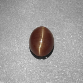 Cat's eye apatite jaune naturelle coupe ovale, 1,47 ct, translucide