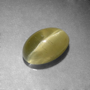 Cat's eye apatite vert naturelle coupe ovale, 1,31 ct, translucide