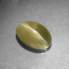 Cat's eye apatite vert naturelle coupe ovale, 1,31 ct, translucide